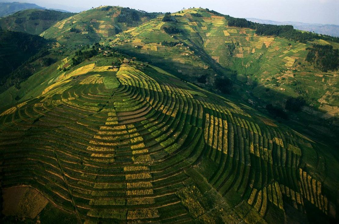 Ruanda’da Önemli İş Fırsatları Bulunuyor