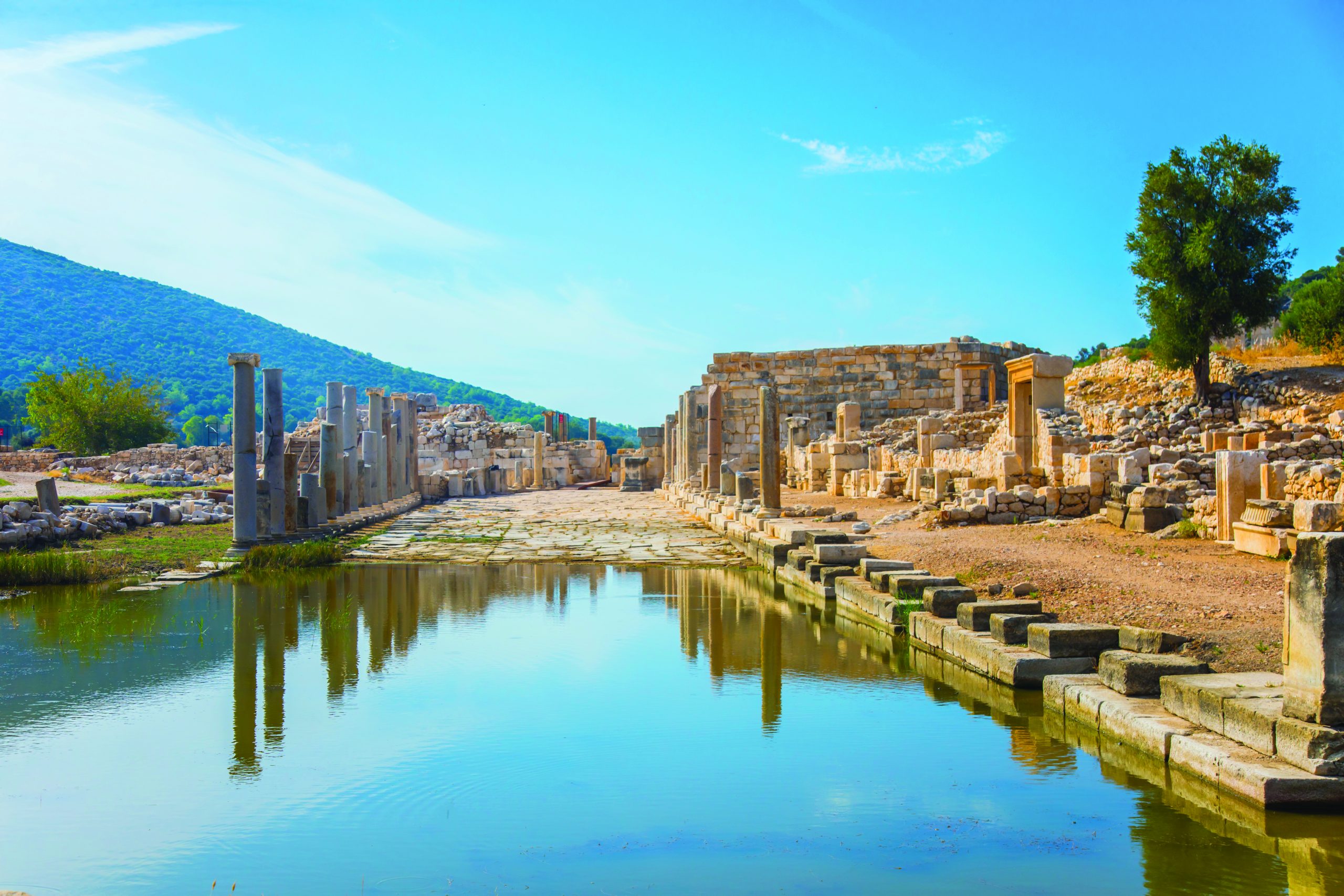 Patara Yılı: 2020