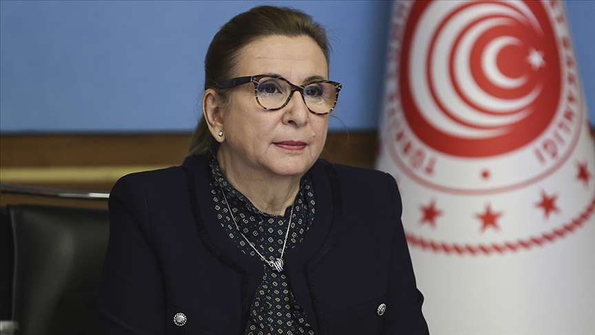 "2 Milyonun Üzerinde Vatandaşımız İYS'ye Girerek Onaylarını Kontrol Etti"