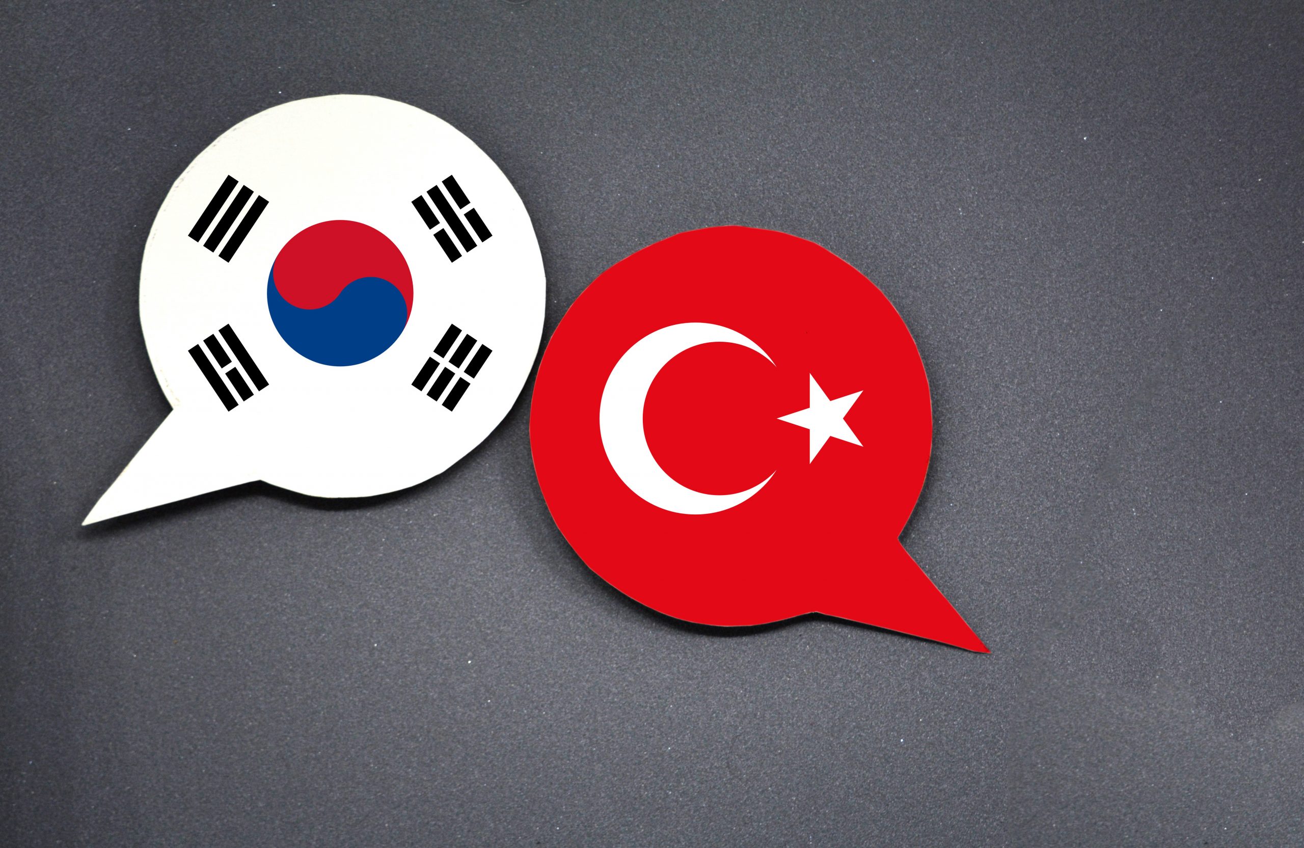 Türkiye’nin Afrika’da Yeni Ortaklıkları: Japonya ve Güney Kore
