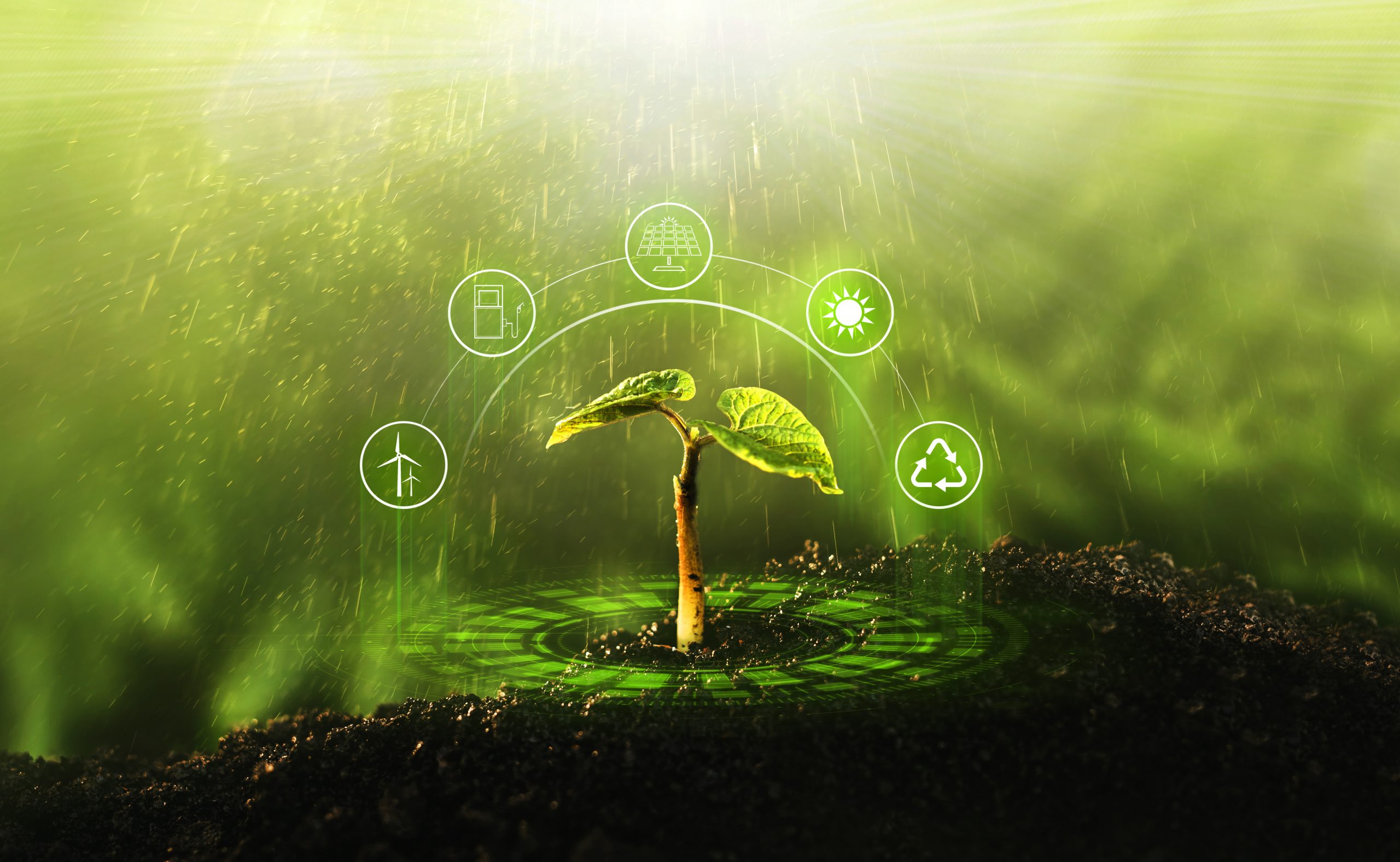 Smart Village Combines Traditional Farming Methods with Advanced Technology