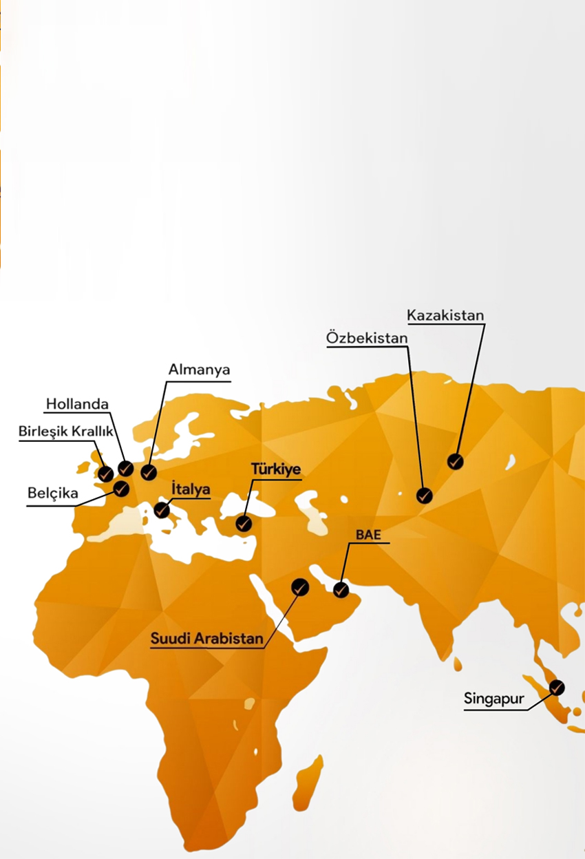 A RISING MARKET IN THE TECHNOLOGY SECTOR: UZBEKISTAN