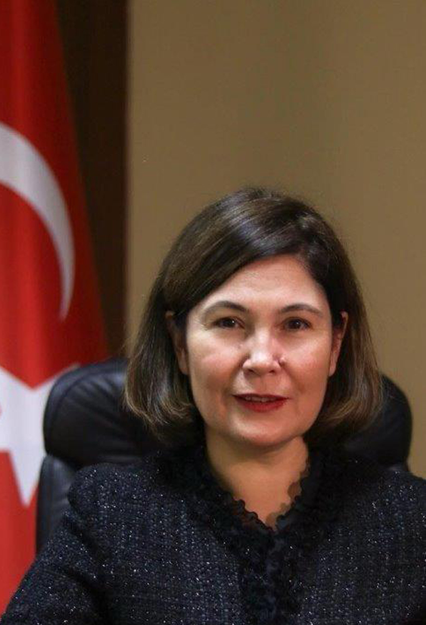 Yeniden Asya Girişimi