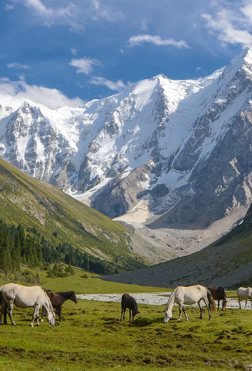 JALALABAD: A ROUTE TO THE HEART OF THE TURKIC WORLD
